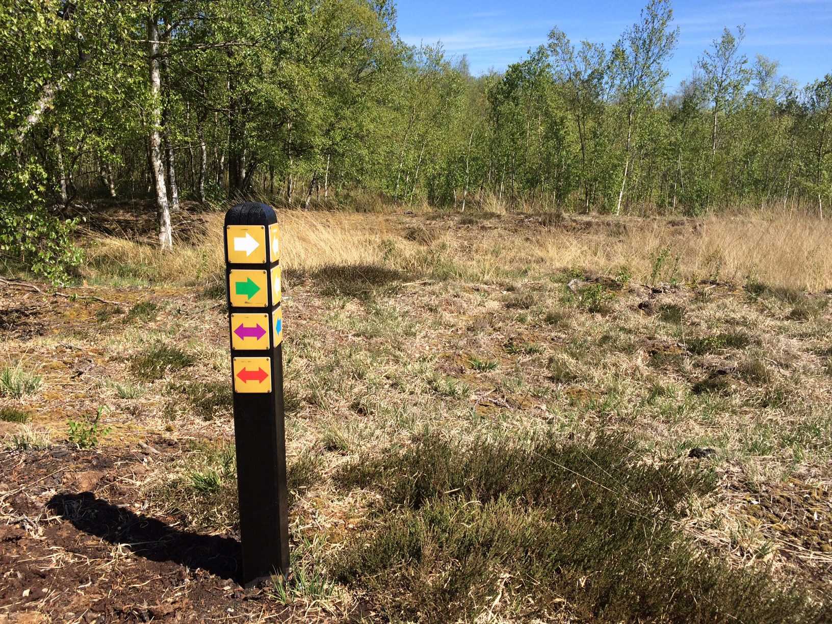 Stipæl i Horreby Lyng